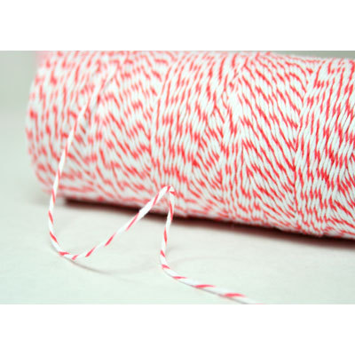Bakers Twine Coral 10 m