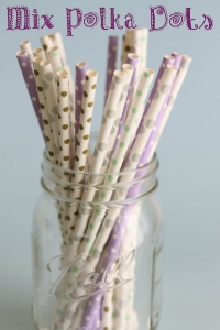 Pajitas de papel Mix Polka Dots