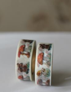 Washi tape setas